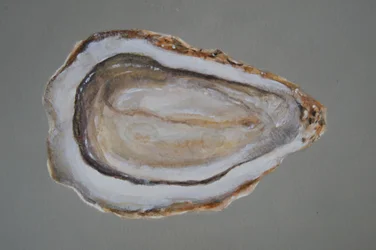 Breton Oyster 2